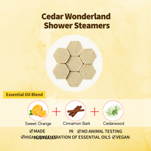 Load image into Gallery viewer, CHRISTMAS SHOWER STEAMER(S)