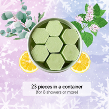 Load image into Gallery viewer, HOLIDAY BUSH WALK