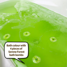 Load image into Gallery viewer, SERENE FOREST (S)