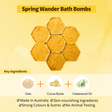 Load image into Gallery viewer, SPRING WANDER (S)