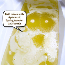 Load image into Gallery viewer, SPRING WANDER