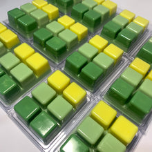 Load image into Gallery viewer, COCONUT & LIME