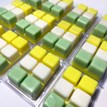 Load image into Gallery viewer, MELON & JASMINE