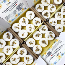 Load image into Gallery viewer, PATCHOULI & GRAPEFRUIT 6pcs