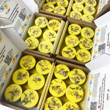 Load image into Gallery viewer, LEMONGRASS & CITRUS 6pcs