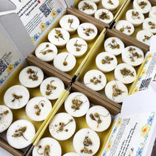 Load image into Gallery viewer, PATCHOULI & GRAPEFRUIT 6pcs