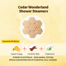 Load image into Gallery viewer, CHRISTMAS SHOWER STEAMER SMALL PACK
